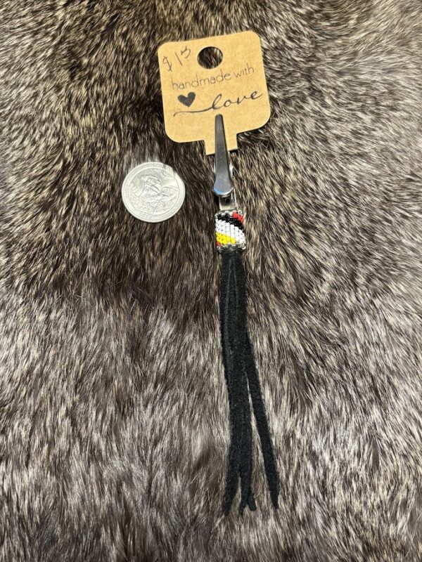 Clip - Medicine Wheel Colors